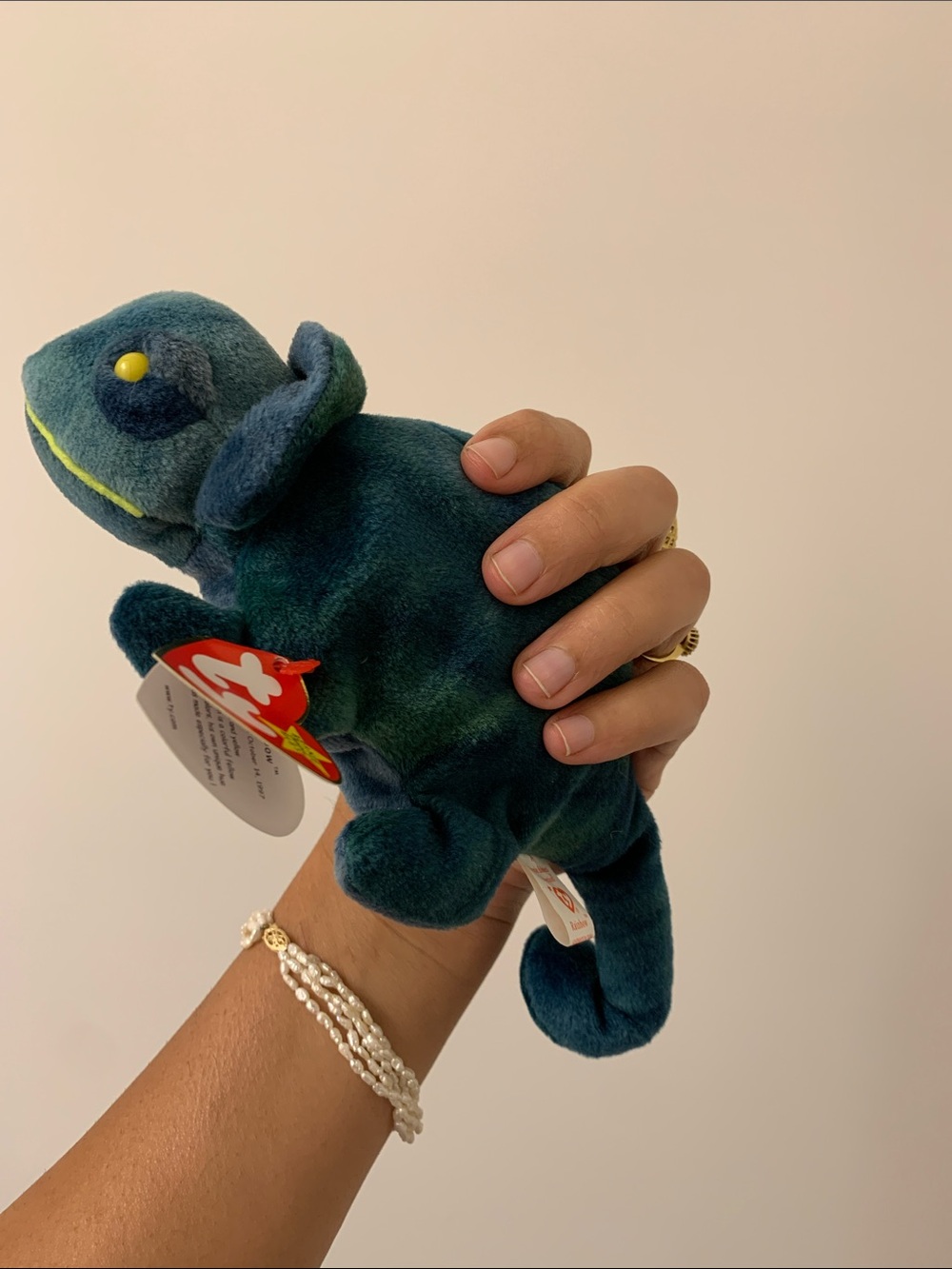 Ty rainbow the chameleon.